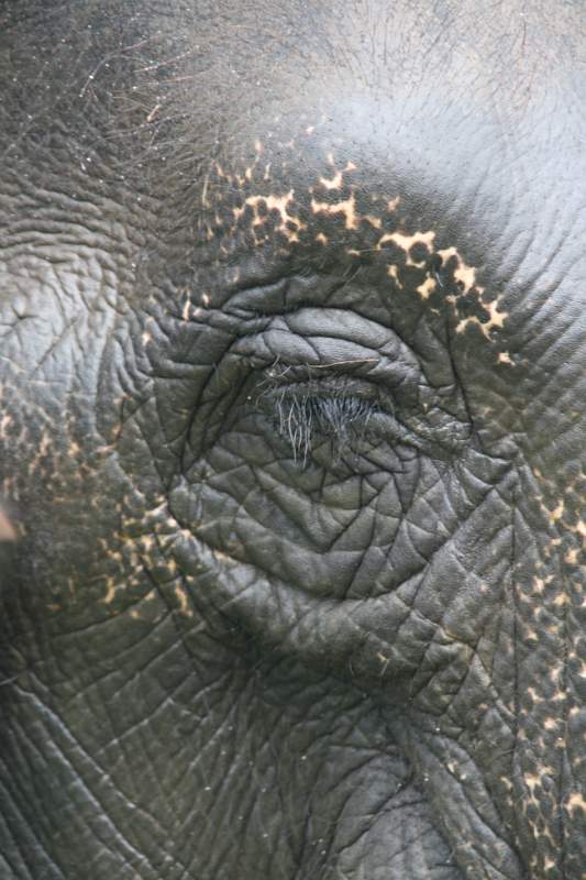 India & Nepal 2011 - 0574